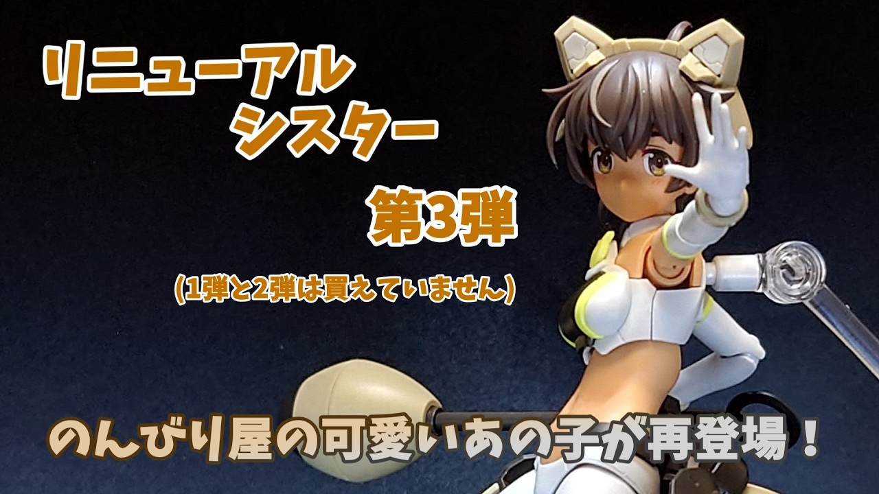 FAG グランデスケール マガツキ組む #4 再組み立て - YouTube