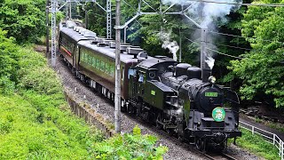 C11 123】東武鉄道SL大樹【C11 207】C11 123緑ナンバープレート JNR