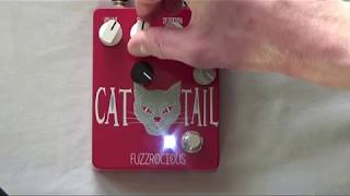 Fuzzrocious Cat Tail Bass Demo - YouTube