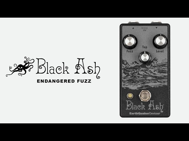 Black Ash（ブラックアッシュ）ファズ：アースクエイカーデバイセス