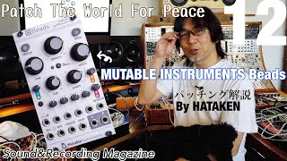 Modular Synth of the Month: MUTABLE INSTRUMENTS Beads ~13th Patch