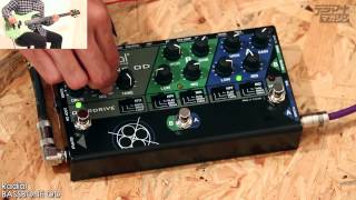 Radial / BASSBONE OD｜製品レビュー【デジマート・マガジン】