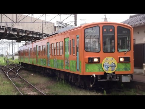 近江鉄道800系電車 いしだみつにゃん&しまさこにゃん号 (2014.8.30