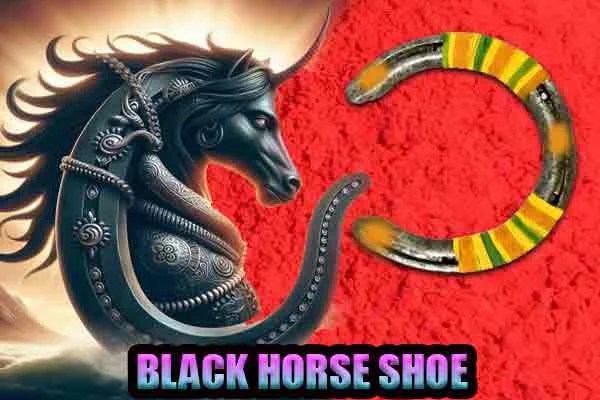 Black Horse shoe for good luck peace and safety - Divyayoga Store