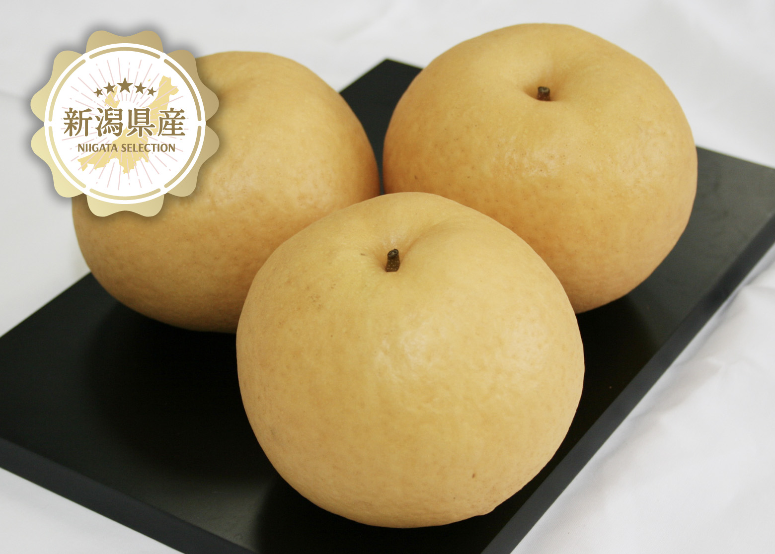 新潟青果市場「愛菜園倶楽部」｜新潟県産 新興梨【秀品】－市場の