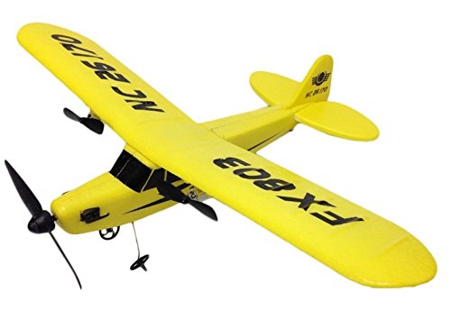 ほぼ本物の迫力……超音速旅客機「コンコルド」の超巨大ラジコン飛行機が