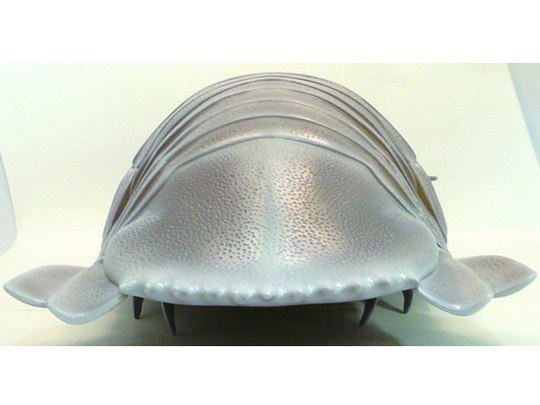 ネイチャーテクニカラー ダイオウグソクムシの製品画像 - 価格.com