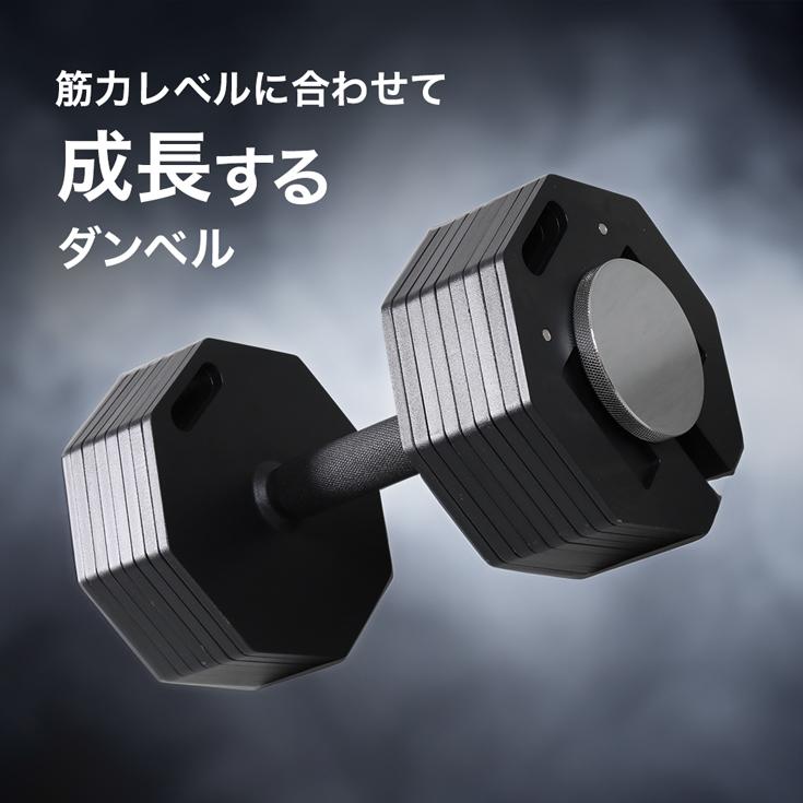 HAIGE（ハイガー） 可変式ダンベル 36kg×2個セット ダンベルセット