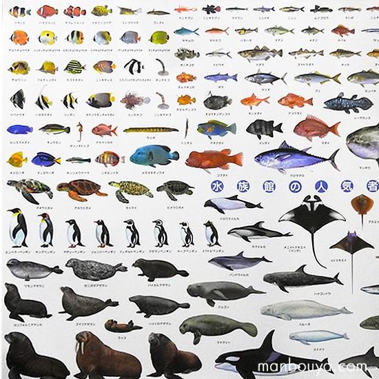 水族館グッズ アートポスター インテリア 特大 A1サイズ 図鑑タイプ