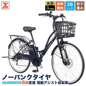 Panasonic（パナソニック） 完売御礼 ビビ・L BE-FL632V ディープ