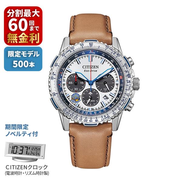 CITIZEN PROMASTER プロマスター SKYシリーズ Blue Impulse 限定500本