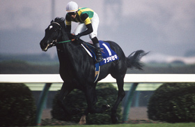 カネヒキリ｜名馬メモリアル｜競馬情報ならJRA-VAN