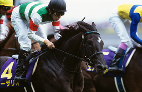 カネヒキリ｜名馬メモリアル｜競馬情報ならJRA-VAN