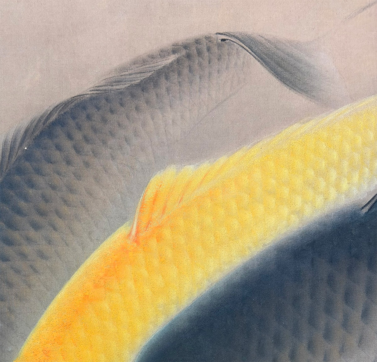 群鯉｜大幅｜新・古美術 高美堂（こうびどう）｜掛軸販売・通販・買取