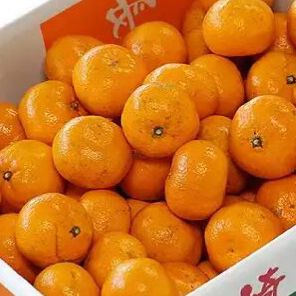 長崎県産「高濃度みかん 味ロマン」4kgのお得通販｜Kuradashi(クラダシ