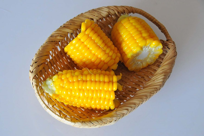 すず竹細工作家・橋本晶子さんの編組品 | 暮らしとおしゃれの編集室