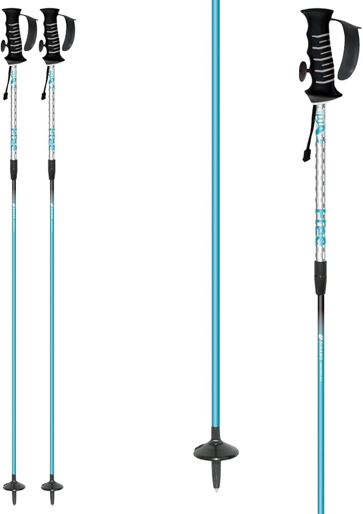 Amazon | SINANO シナノ スキー ポール・ストック ＜2022＞ フリーSV