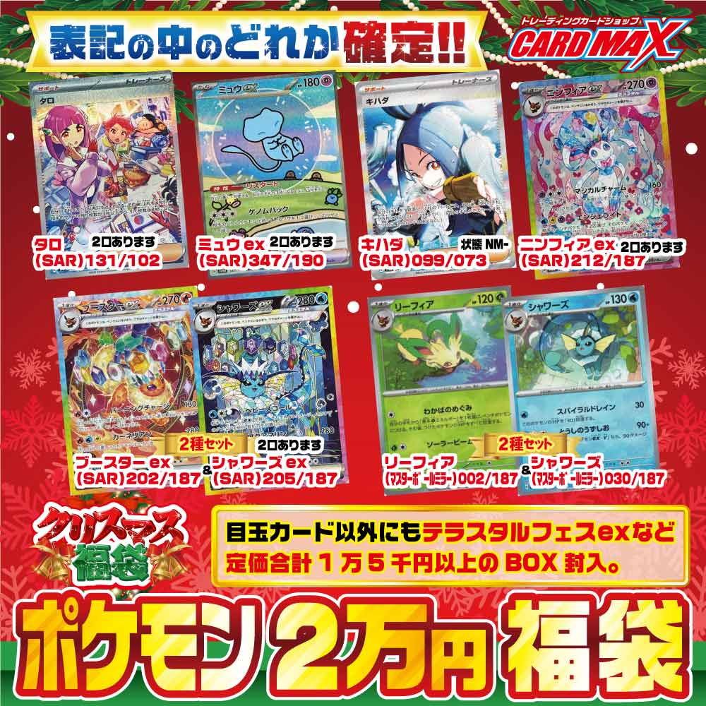 2024年 クリスマスポケモン 超豪華2万円 福袋【ポケモンカードゲーム
