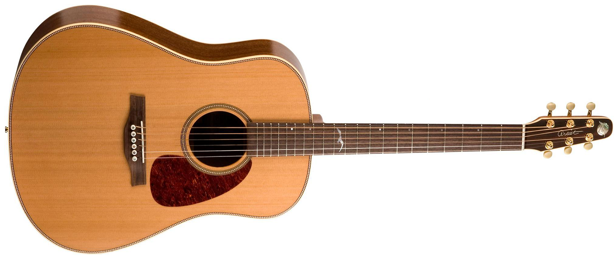 Seagull Artist Mosaic Element with Deluxe Tric Case - 623501041541