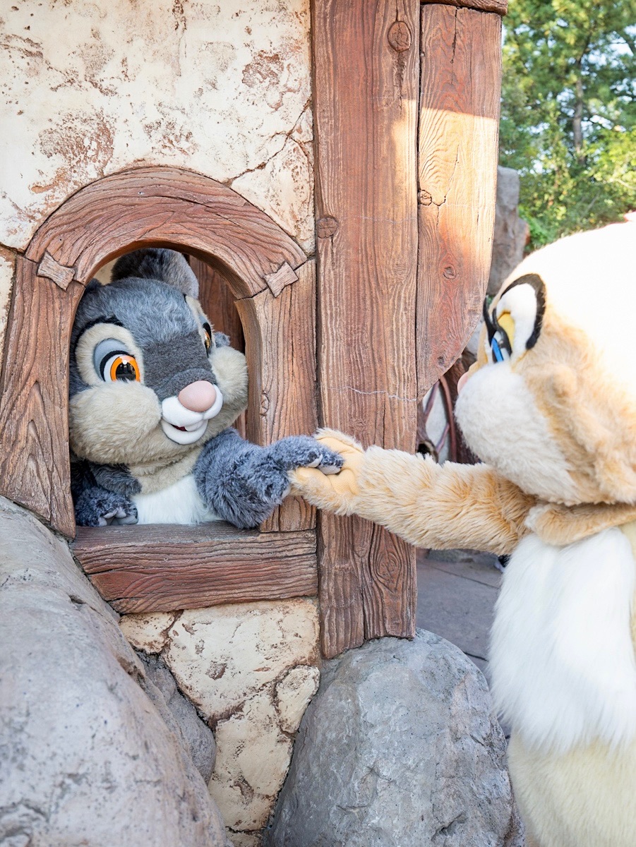 かわいいとんすけ＆ミス・バニー！東京ディズニーランド／クリッター