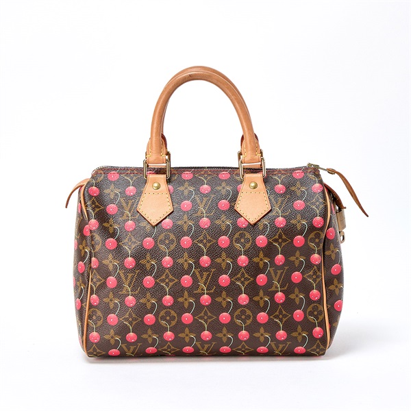 LOUIS VUITTON スピーディ 25 モノグラム ハンドバッグ M95009