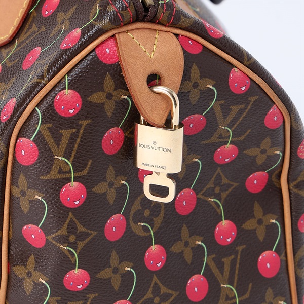 LOUIS VUITTON スピーディ 25 モノグラム ハンドバッグ M95009