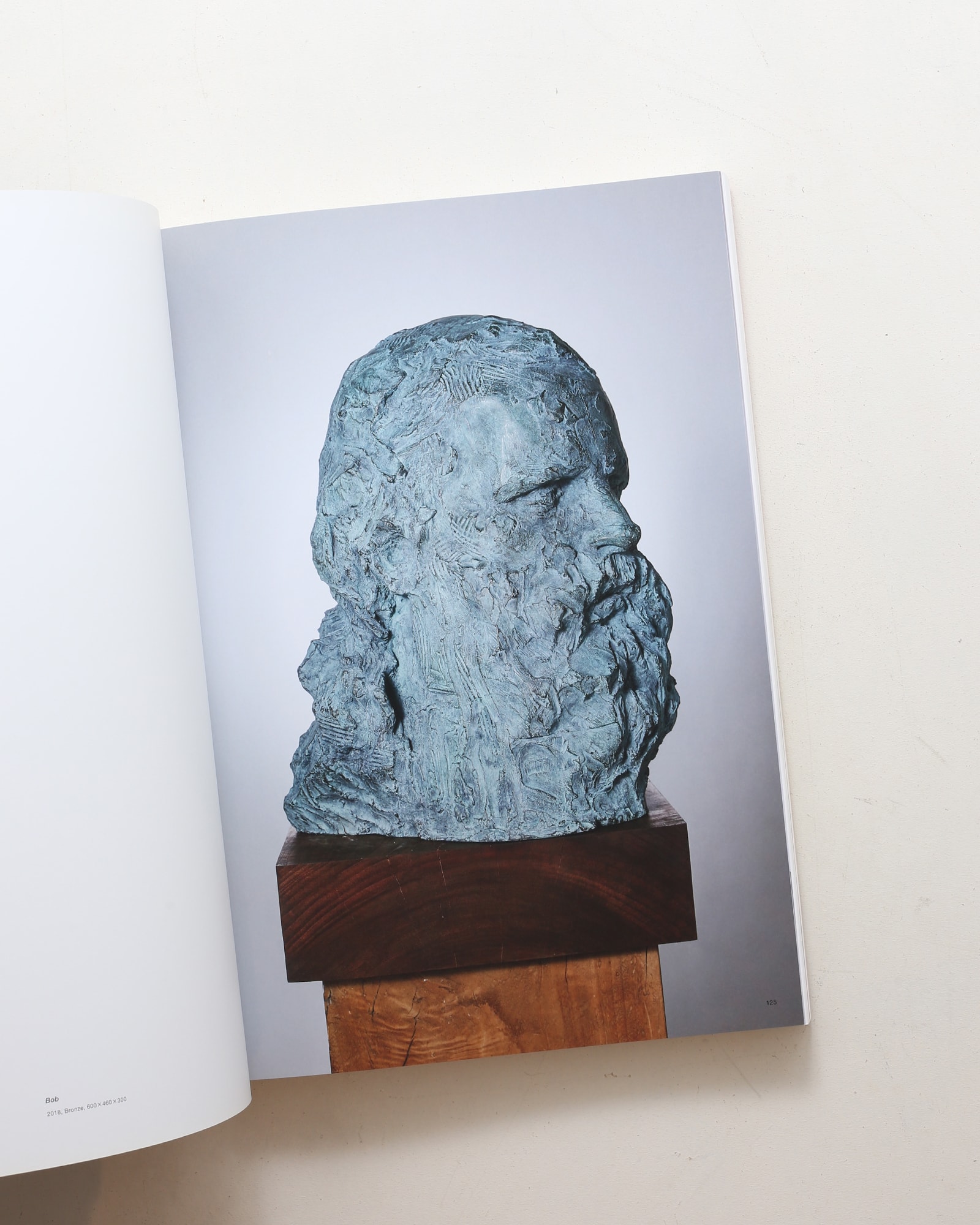 Yukimasa Ida Crystallization 井田幸昌作品集 | nostos books ノスト