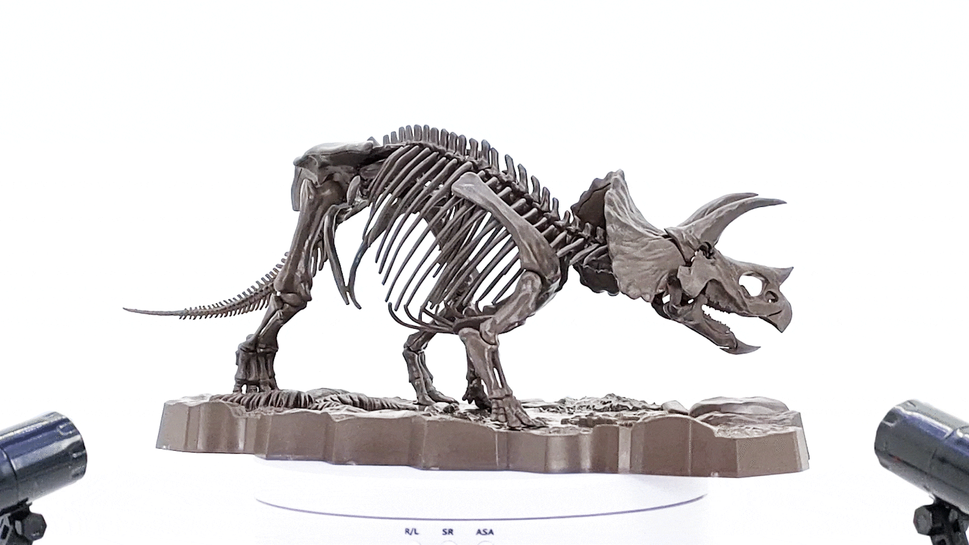 バンダイから発売。恐竜の骨格標本のプラモデルImaginary Skeleton