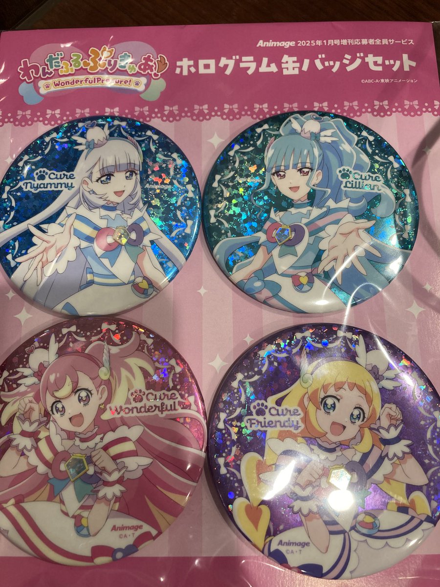 片付けてたら驚き物を発見 アニメージュ応募者全員サービスの「わんだ