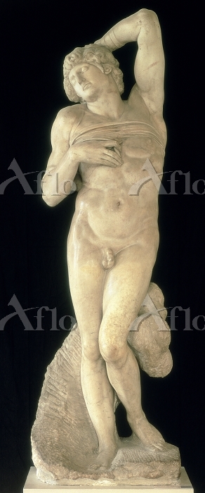 ミケランジェロ 「瀕死の奴隷」像 [14159886]のアート作品 - アフロ