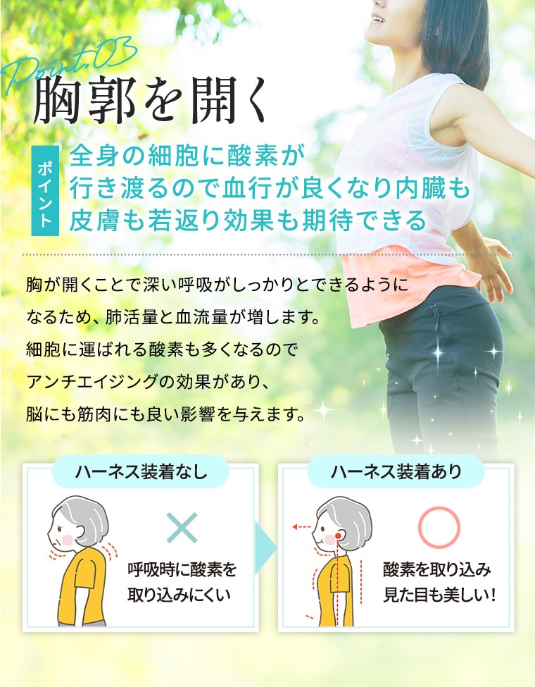 ファンクショナルハーネス、革新のサポートウェア登場！｜医療機器
