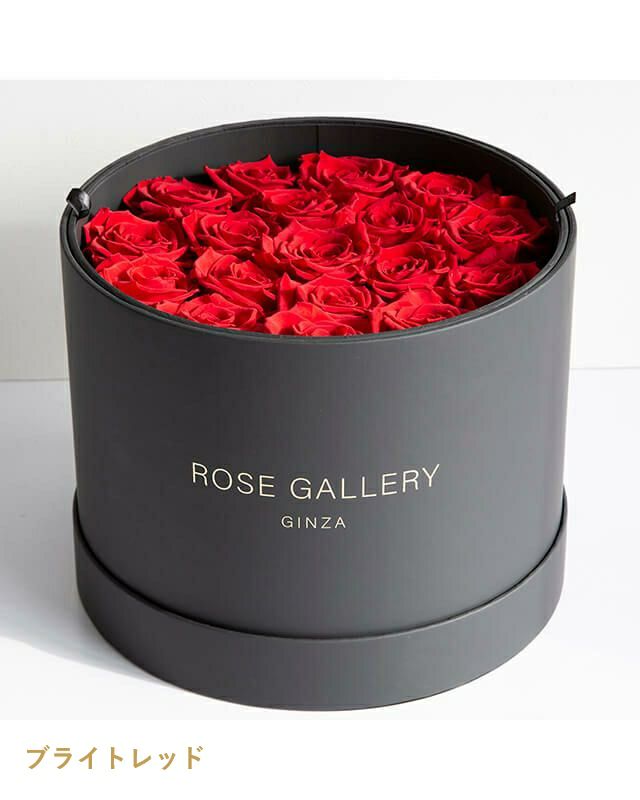 アンダーザローズ(L-L18) | ローズギャラリー銀座 オンラインショップ