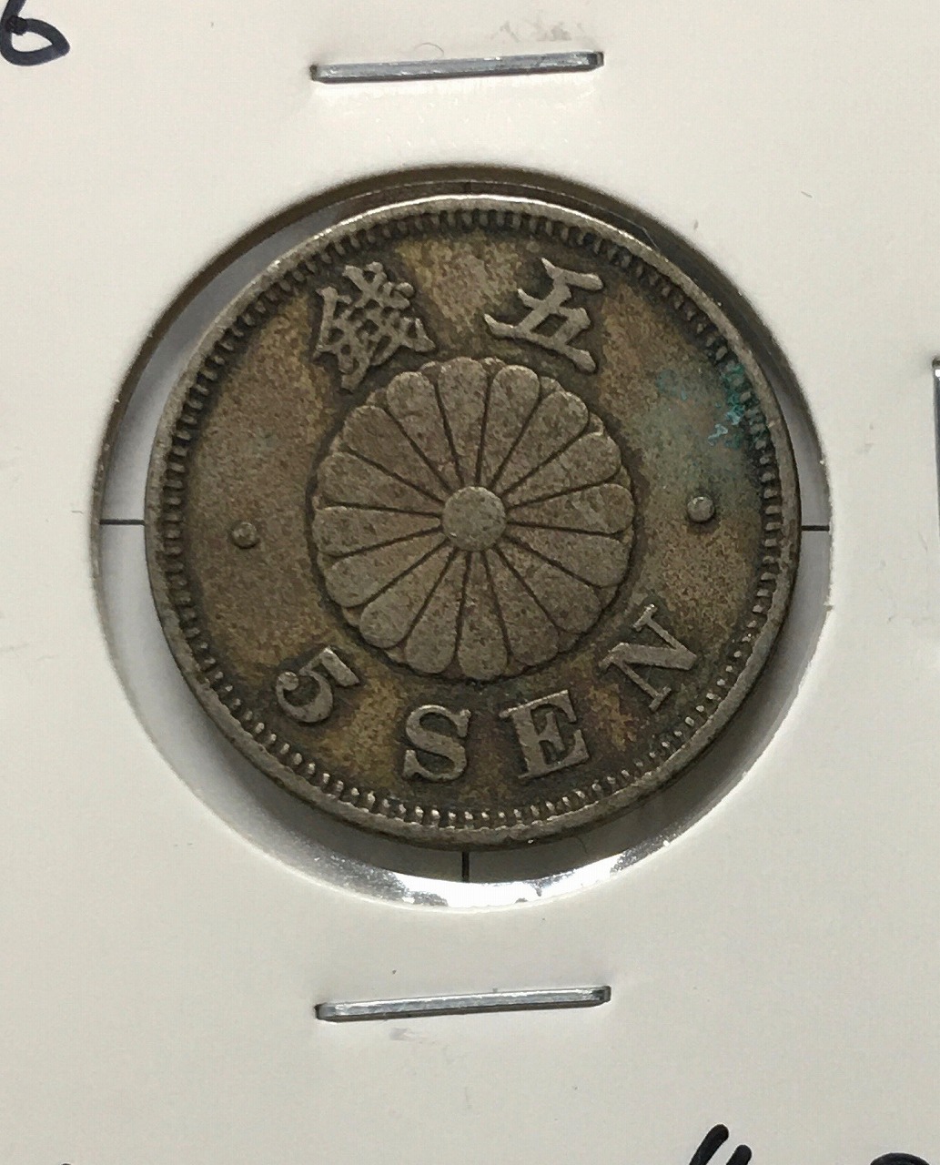 菊5銭白銅貨/菊紋 明治29年銘(1896年) 特年 近代貨幣シリーズ 美品VF