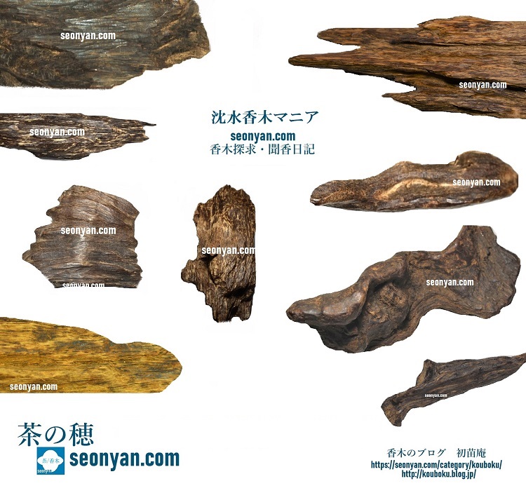 流派別に鑑賞する羅国 | 茶の穂 香木と本気の茶