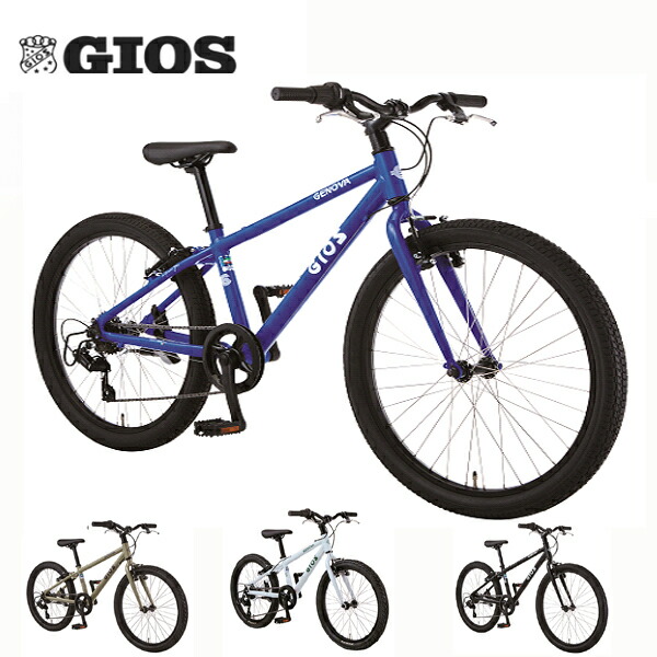 2-gios-j1-00002.jpg