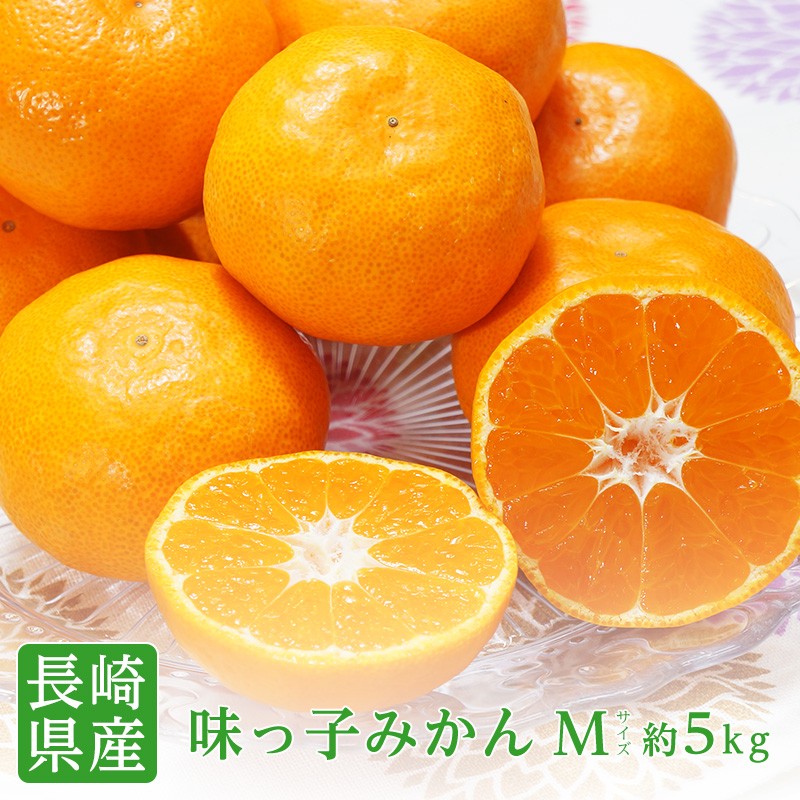 長崎県産 西海 味っ子みかん Mサイズ 約5kg 味っ子 みかん 送料無料