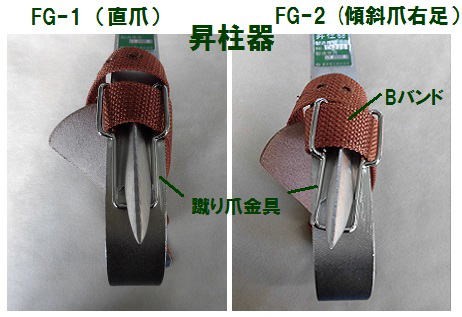藤井電工 ツヨロンの昇柱器「FG-1」直爪 1本爪 枝打ち、伐採時の際、足
