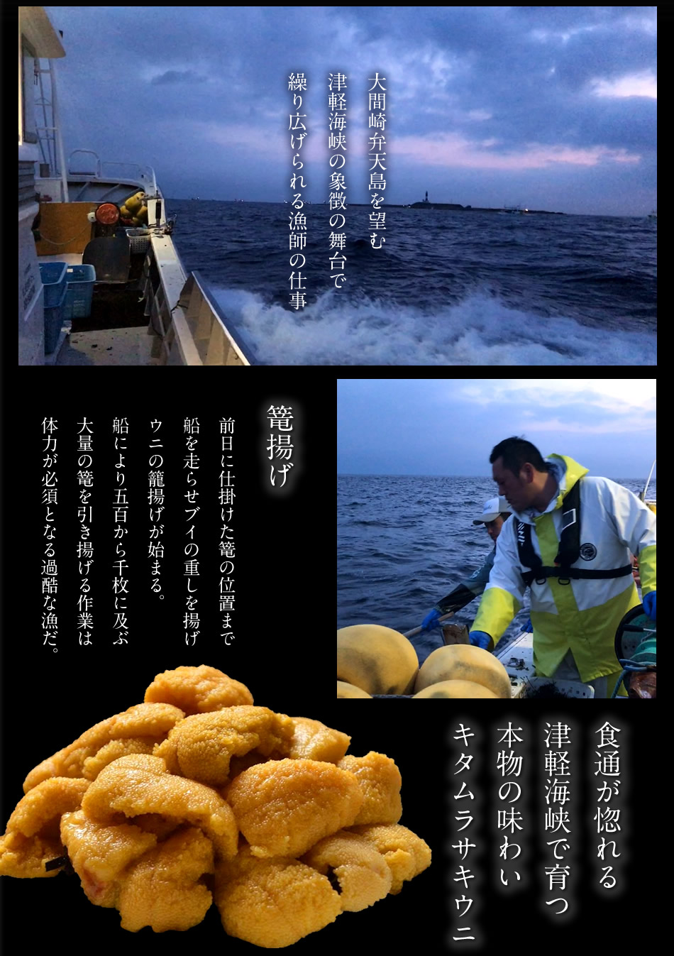 極上生うに＼新物予約／国産ウニ 大容量360g(180g×2本)最北漁師のワン