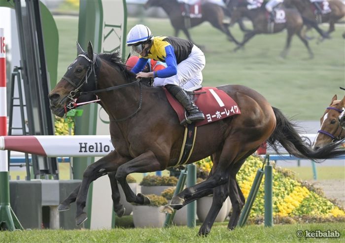 カランダガン - Calandagan - 競走馬データベース | 競馬ラボ