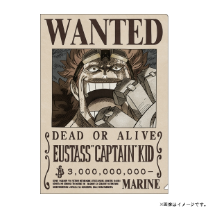 ワンピース】手配書クリアファイル ブルック 3億8300万