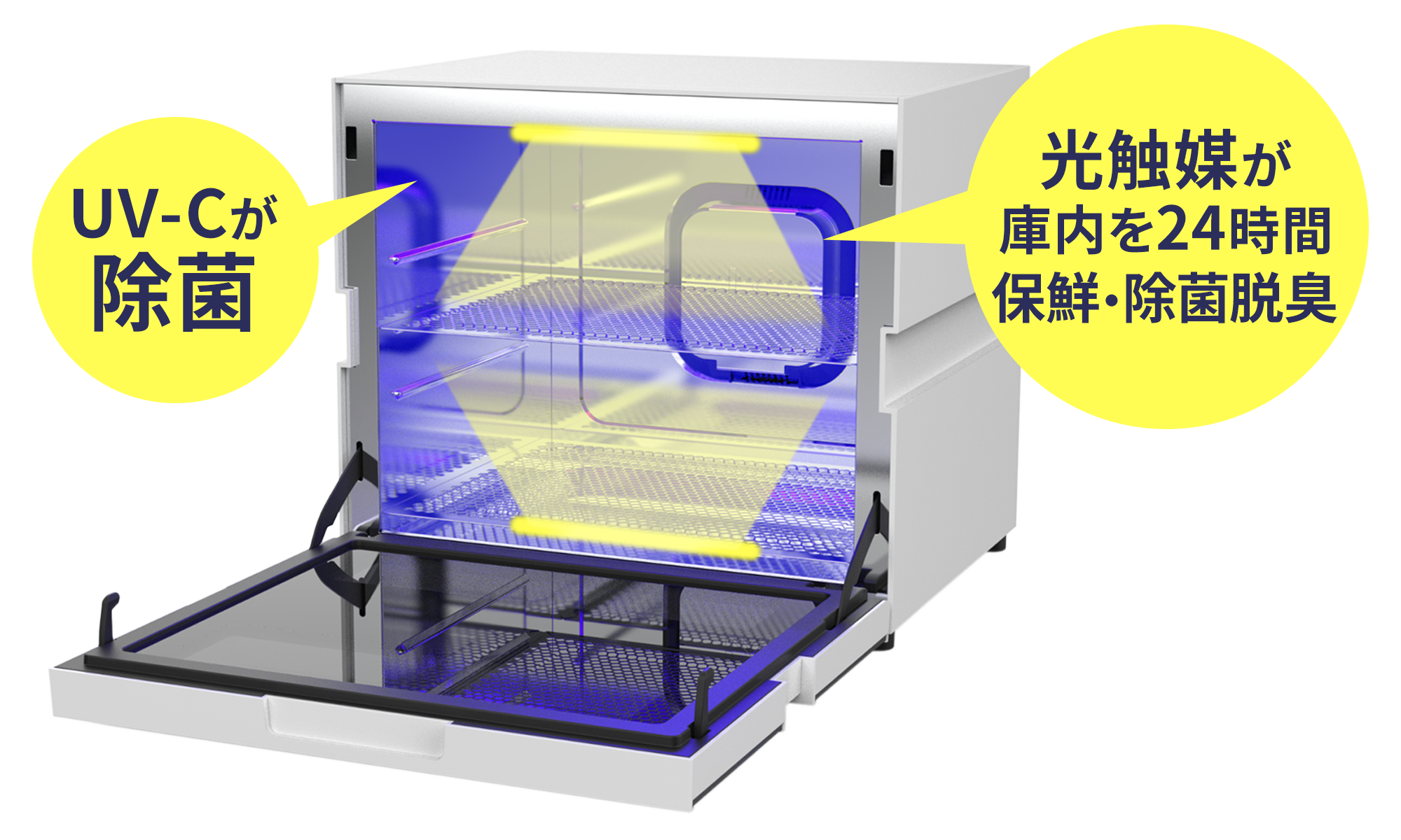 カルテック公式オンラインストア Turnedk Online Store / KL-MV01