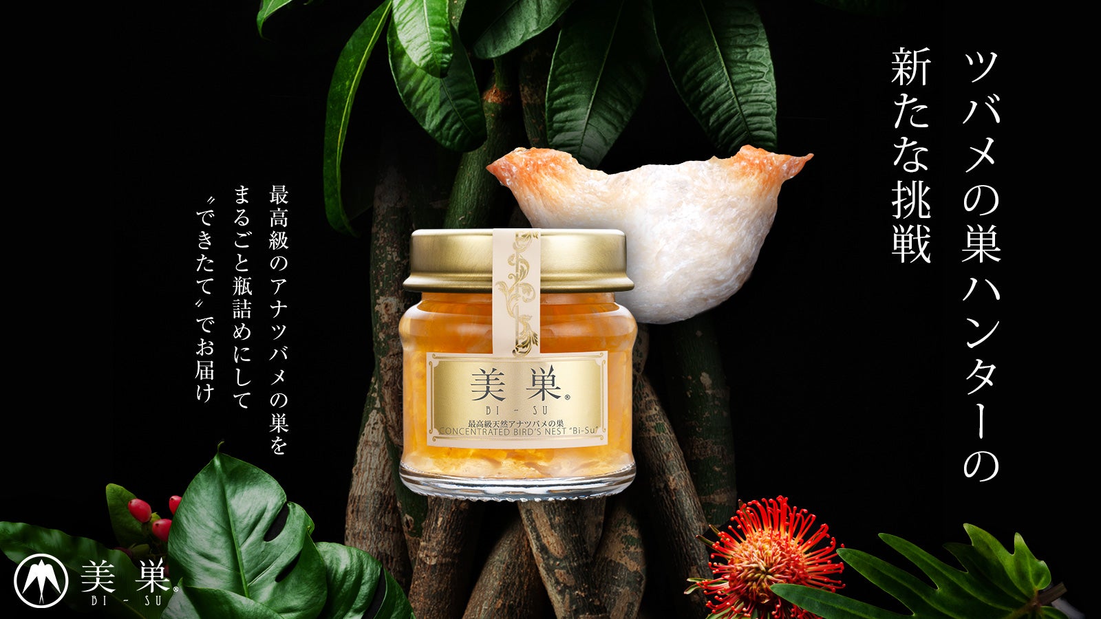 本物に出逢えたら奇跡！”できたて”天然アナツバメの巣まるごと瓶詰め