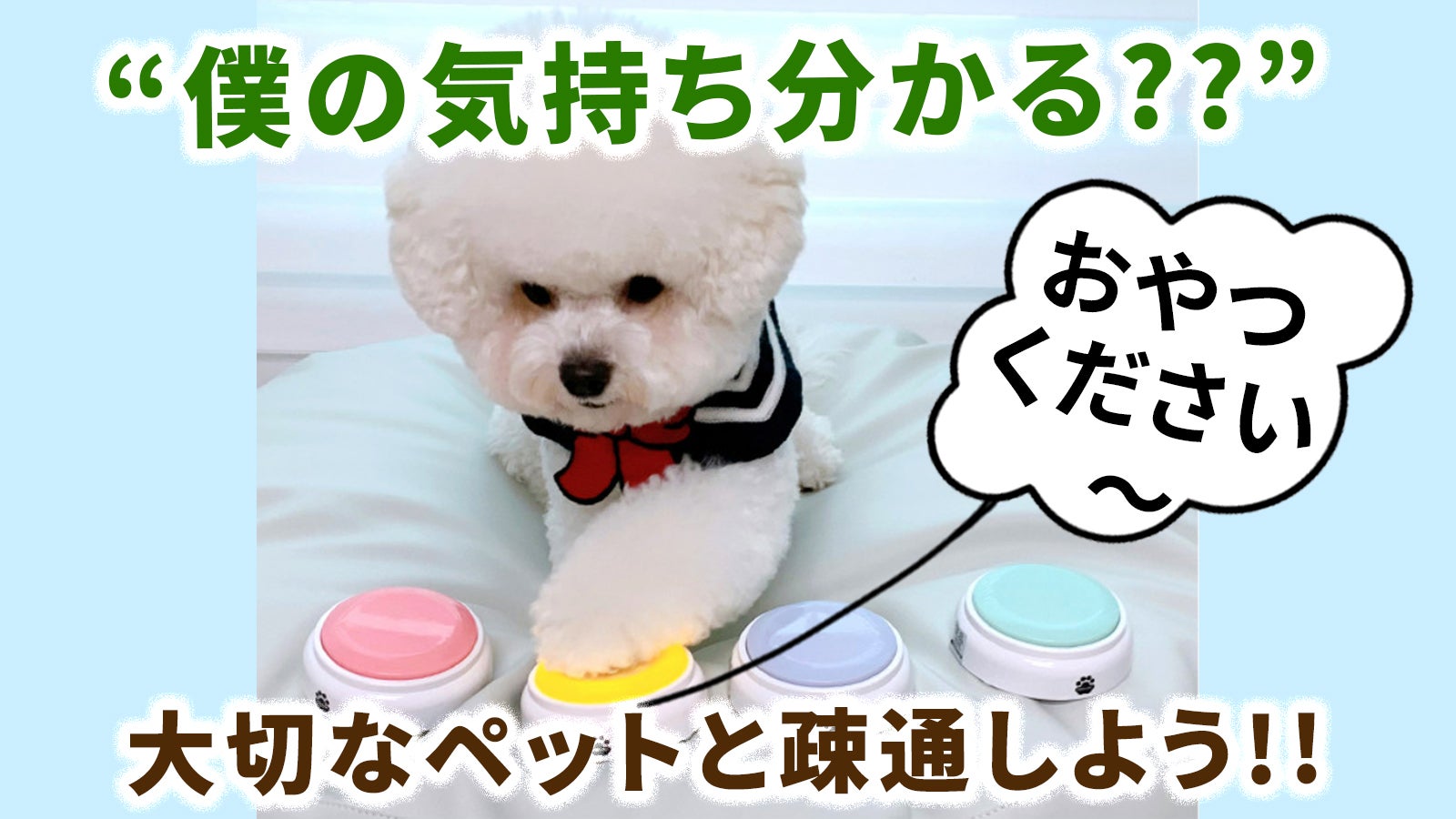 株式会社 A.NTiO のプロジェクト｜マクアケ - アタラシイものや体験の