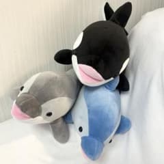 神戸須磨シーワールド オルカくじ イルカくじ 3等 - メルカリ