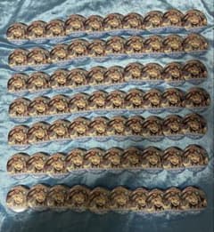 コンパス GBガール GBG ニコニコ超会議2024 書き下ろし缶バッジ 70点