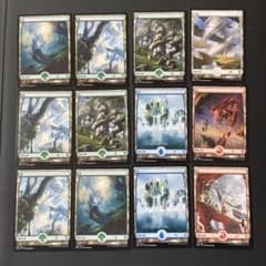 フルアート土地12枚 ゼンディカーの夜明けZNR MTG 基本土地 非FOIL