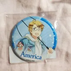 2026年最新】ヘタリア アメリカ まとめ売りの人気アイテム - メルカリ