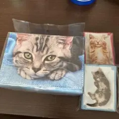 2026年最新】合皮製デッキケースwの人気アイテム - メルカリ