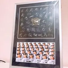 2026年最新】オリックス 山本 サインの人気アイテム - メルカリ