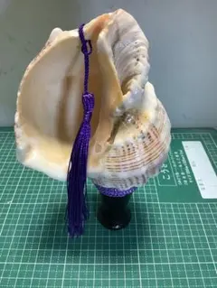 2026年最新】法螺貝笛の人気アイテム - メルカリ